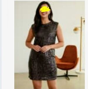 Reitman's Sequin Shift Dress - Party Wear!